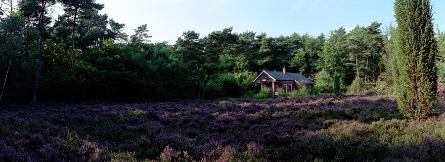 De Schuilplaats in Norg: ideaal gelegen vakantiehuis aan heideveld in groot natuurgebied