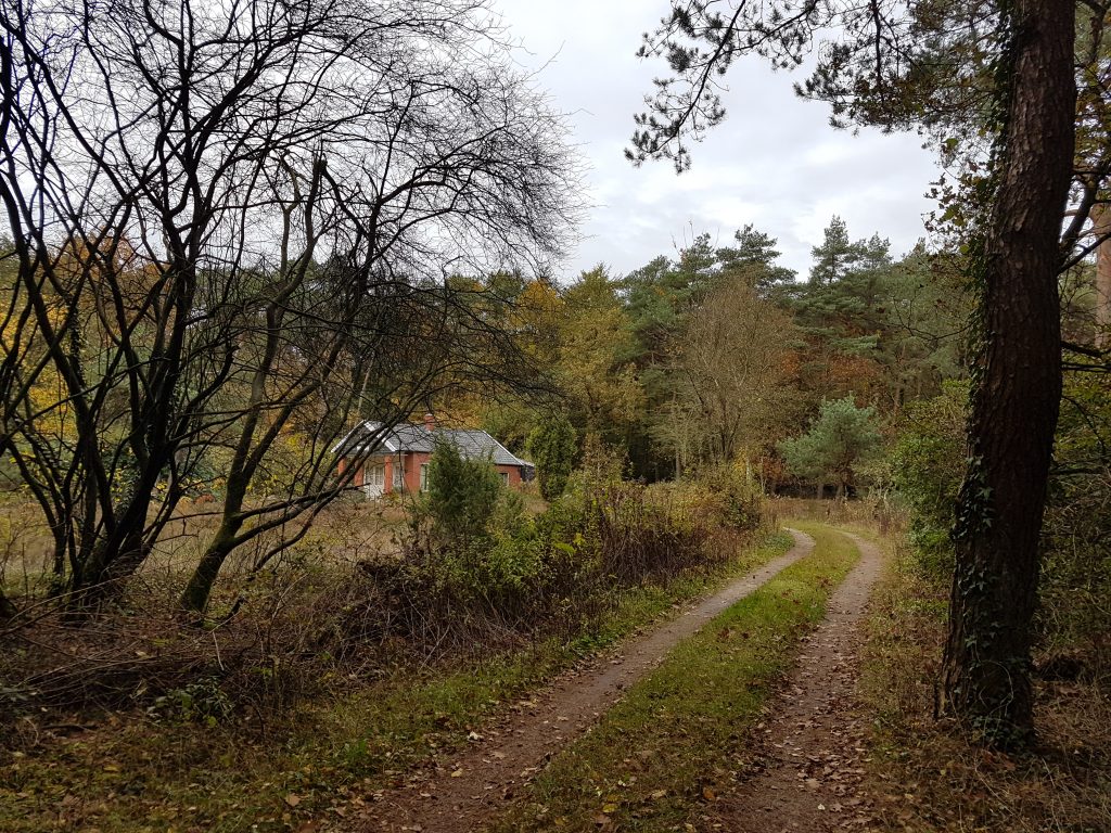 Foto van de onverharde weg naar de Schuilplaats – 2019-10-26