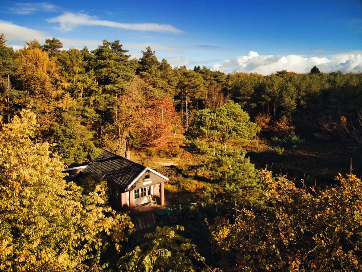 November in vogelvlucht