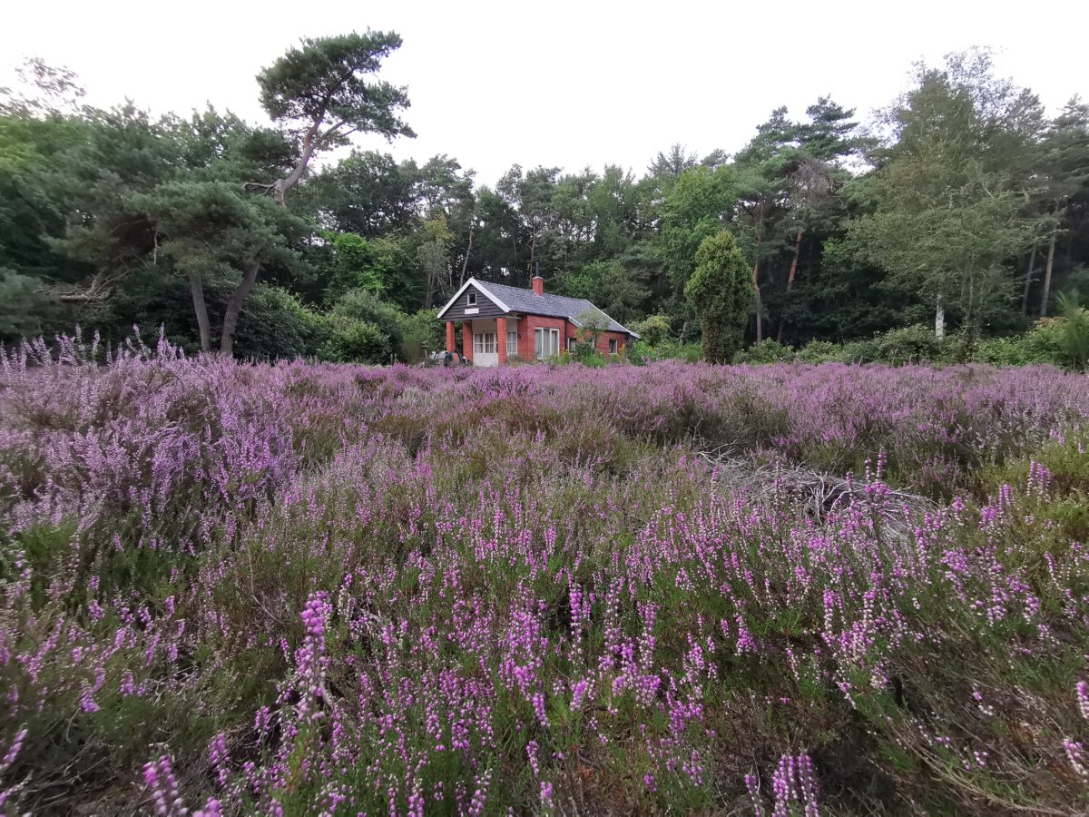 Huisje op de hei. Hoe dan?