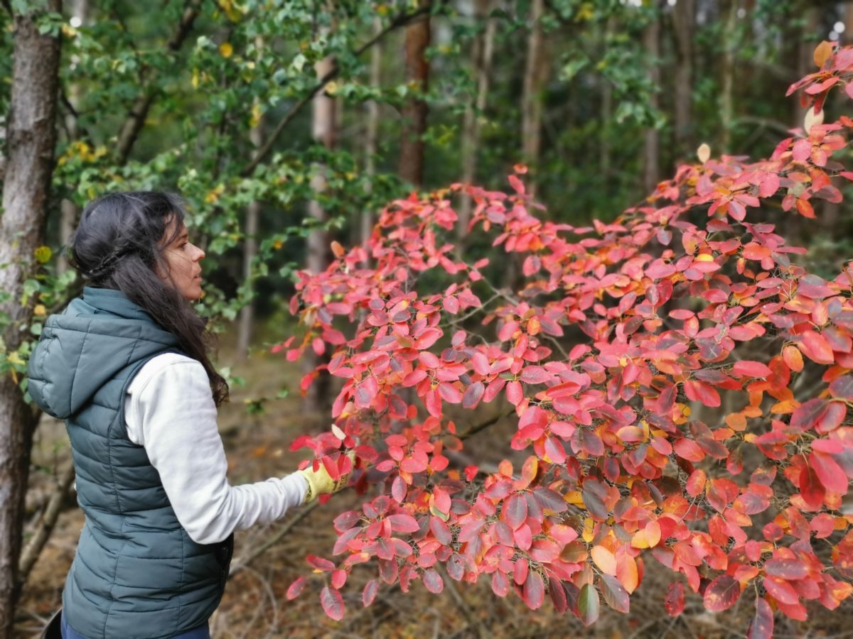 Bosbadmodel Nélia Lamaroso geniet van de herfstkleuren in het bos.
