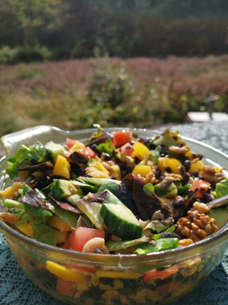 Een voedzame lunchsalade op het terras bij vakantiehuisje aan de hei in het bos in Norg (Drenthe).